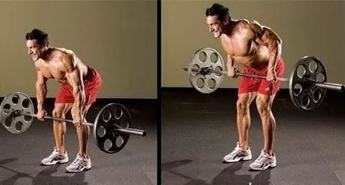 适合大体重的核心训练动作,基训腿部练习动作