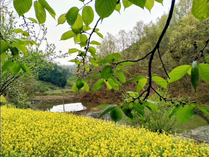 如果室友偷你东西怎么办,如果舍友偷拿东西可以报警吗