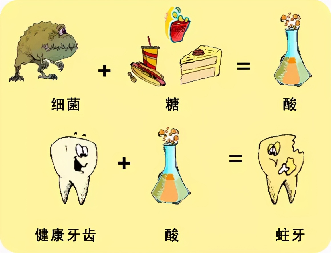 猫咪长蛀牙怎么办,猫咪蛀牙治疗费用