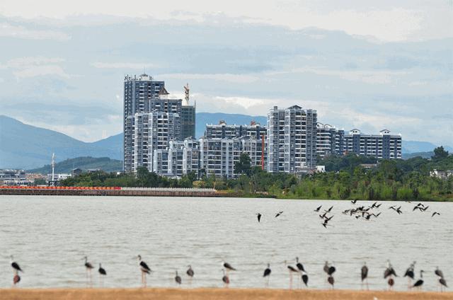 开远凤凰生态公园,开远市凤凰生态公园面积多少