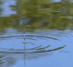 十种常见的漂相图解,各种漂型优缺点图解