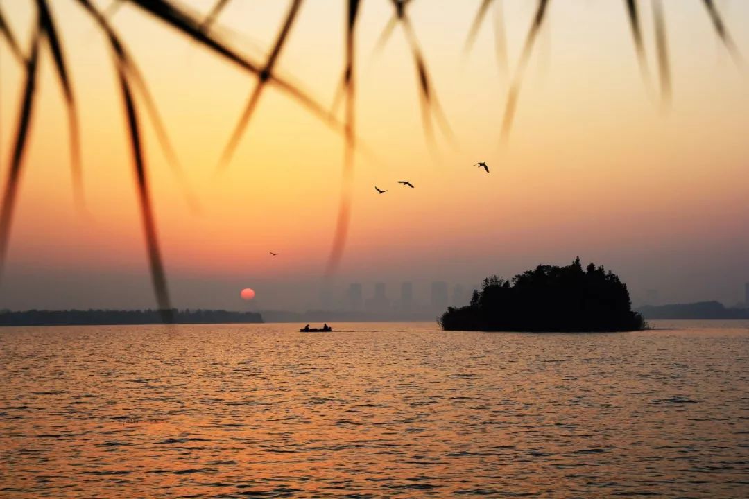 腹有诗书气自华精选200个千古名句,腹有诗书气自华200句值得背诵