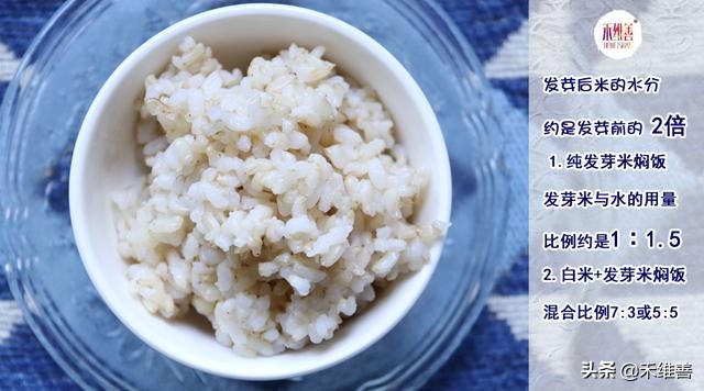 发芽米怎么做,发芽鲜米