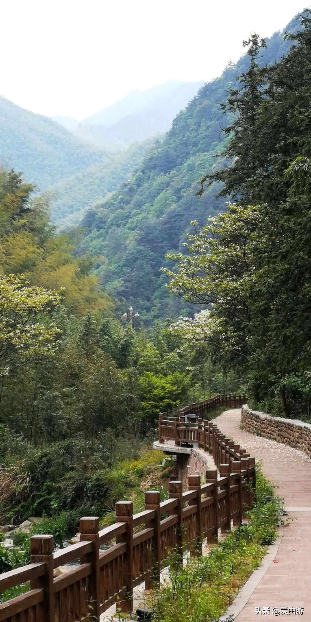 疫情后旅行新玩法,“州”游之衢州四天三夜