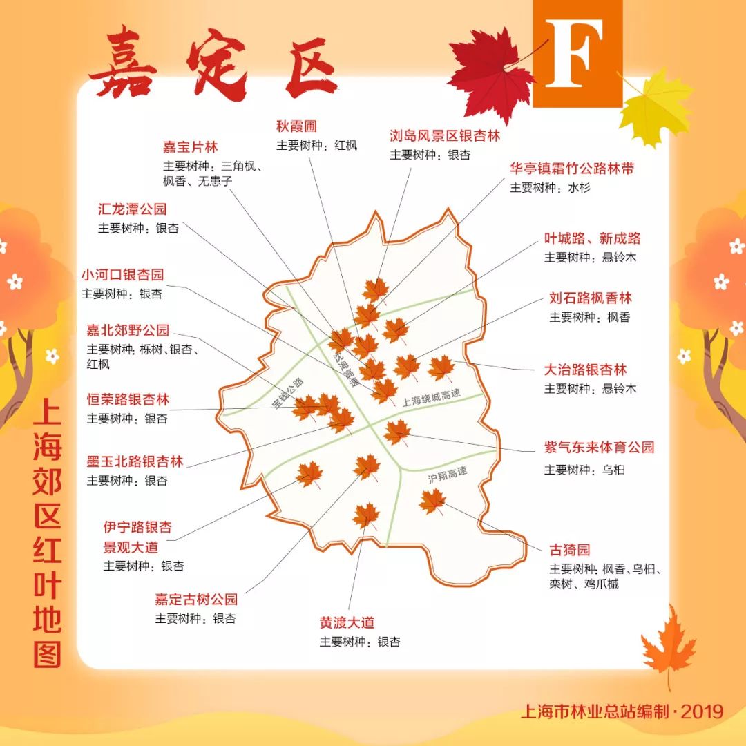 赏枫地图,赏红叶正当时