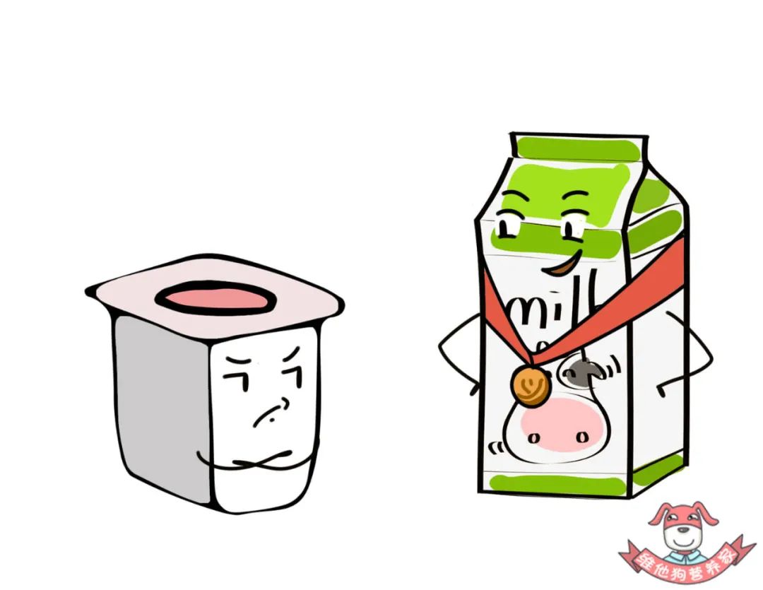 纯牛奶和酸奶哪个补钙效果最好,纯牛奶和酸奶哪个营养最好