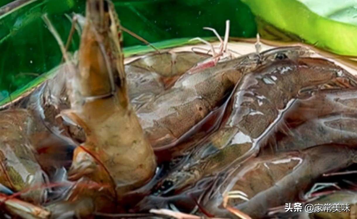 基围虾明虾沙虾罗氏虾大头虾,基围虾和罗氏虾营养一样吗