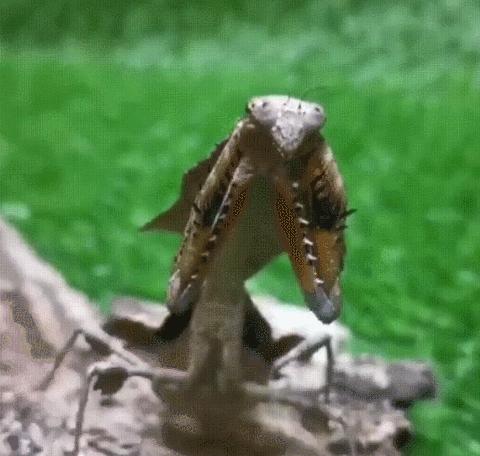 广岛核爆幸存者照片,广岛原子弹爆炸时的真实影像