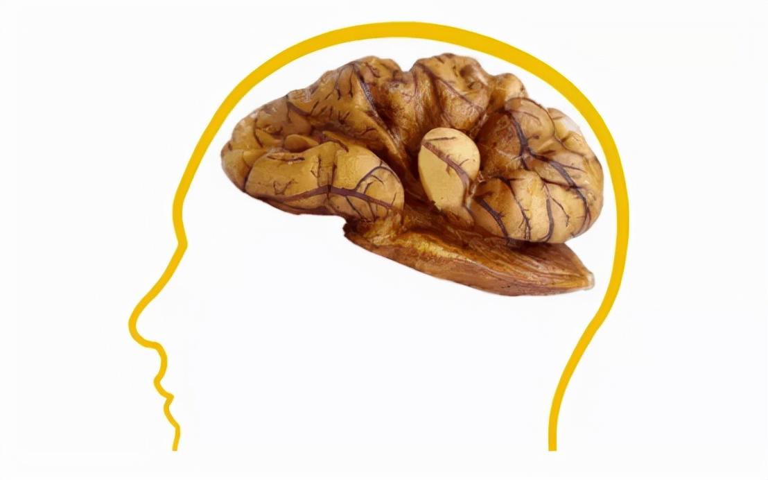 吃核桃真的可以补脑变聪明吗,吃核桃有助于大脑发育吗