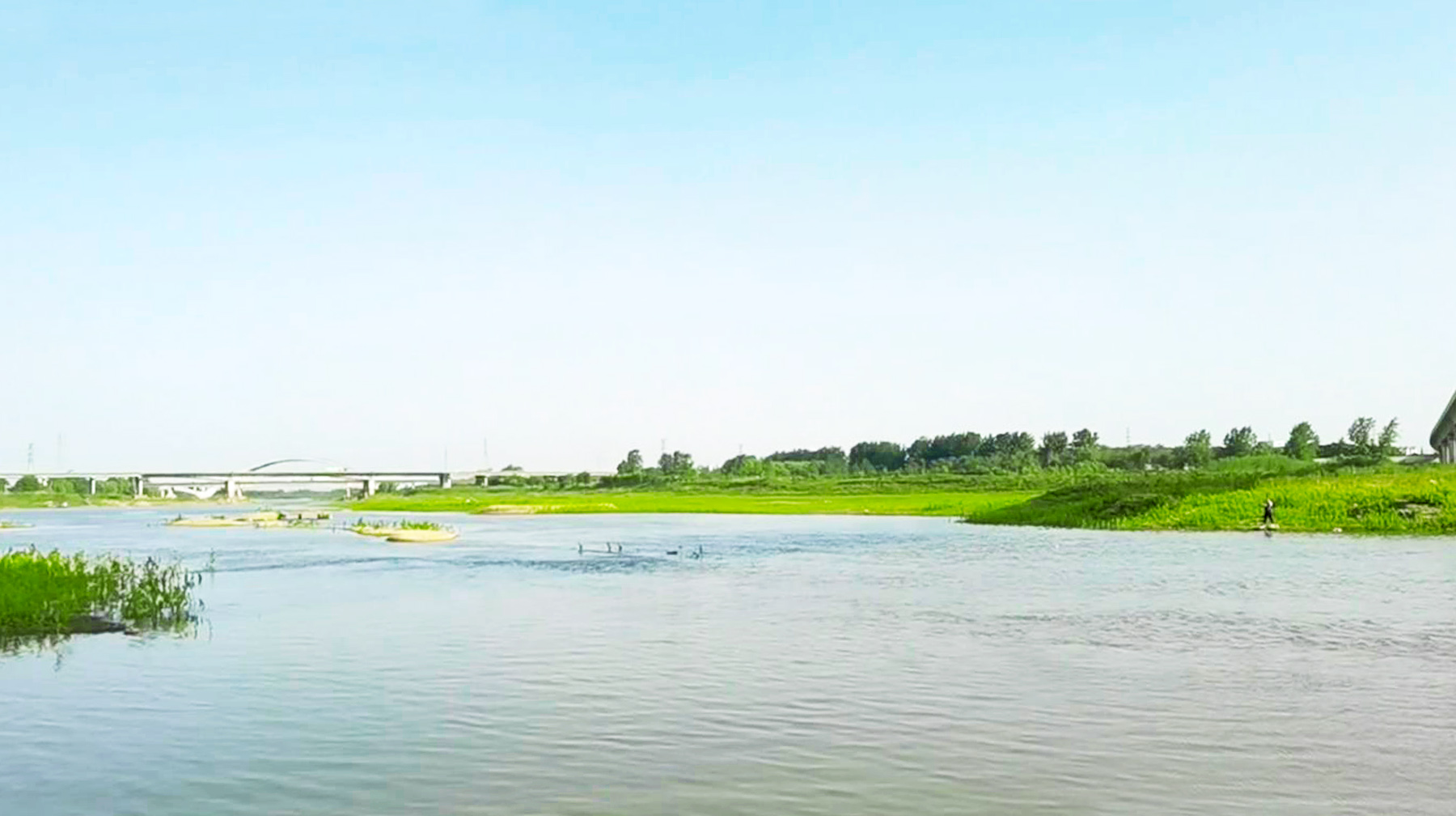 武汉长江江心惊现一条小路,武汉长江大桥下面江边