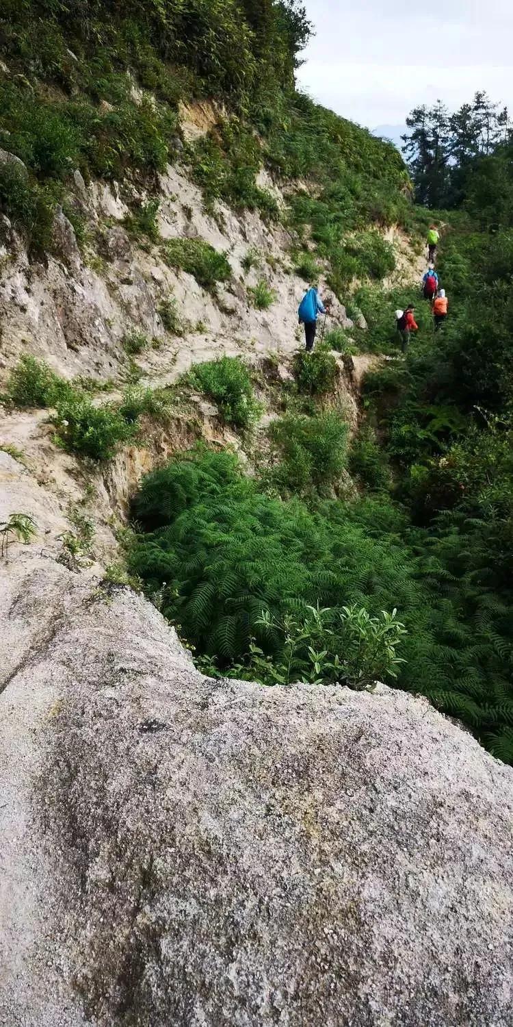 @个旧人，动起来！15分钟健身圈你打卡了吗？