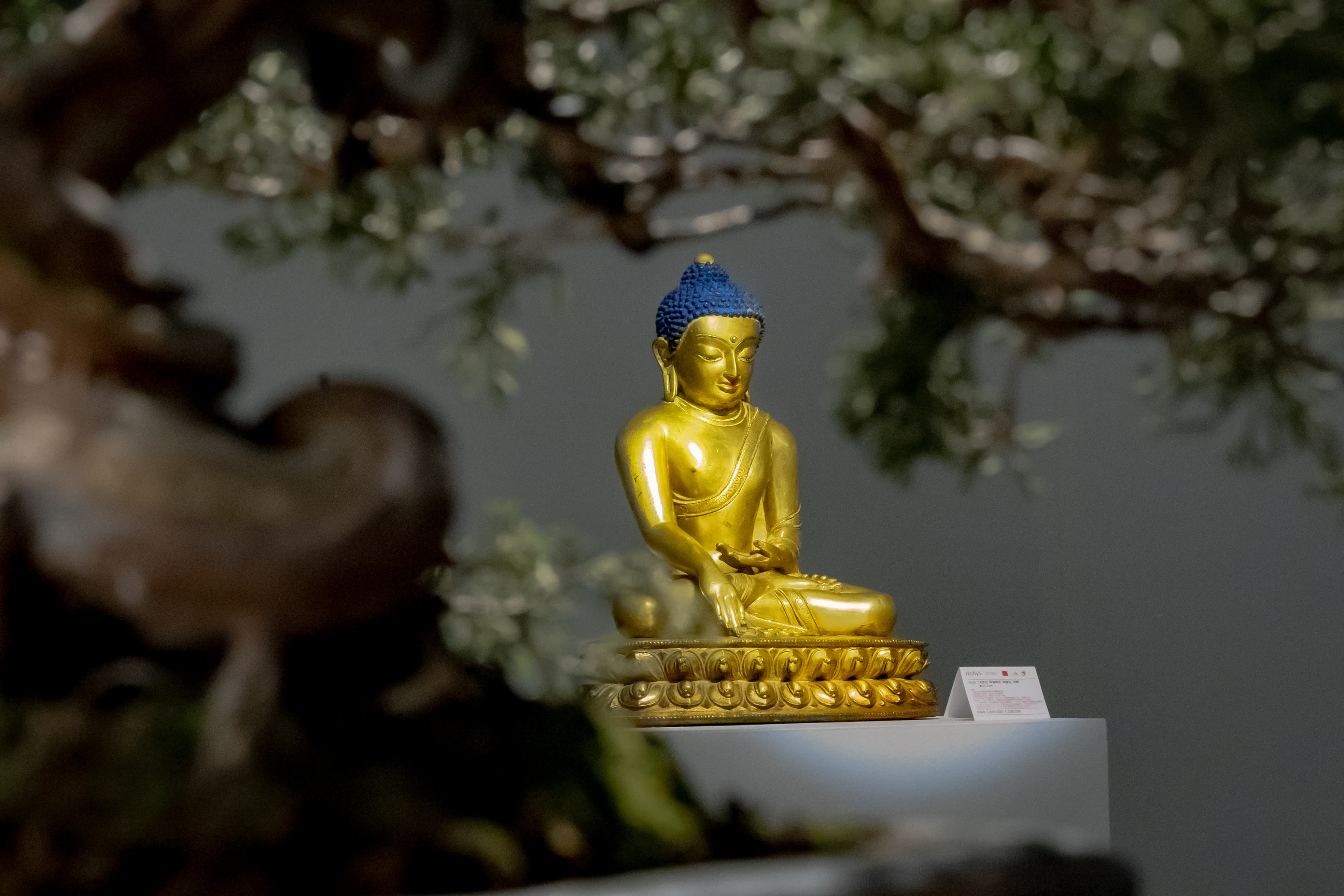 鍗庤壓鍥介檯鎷嶅崠鍏徃瀹樼綉,鍗庤壓鍥介檯鏄ユ媿浣滃搧娆ｈ祻