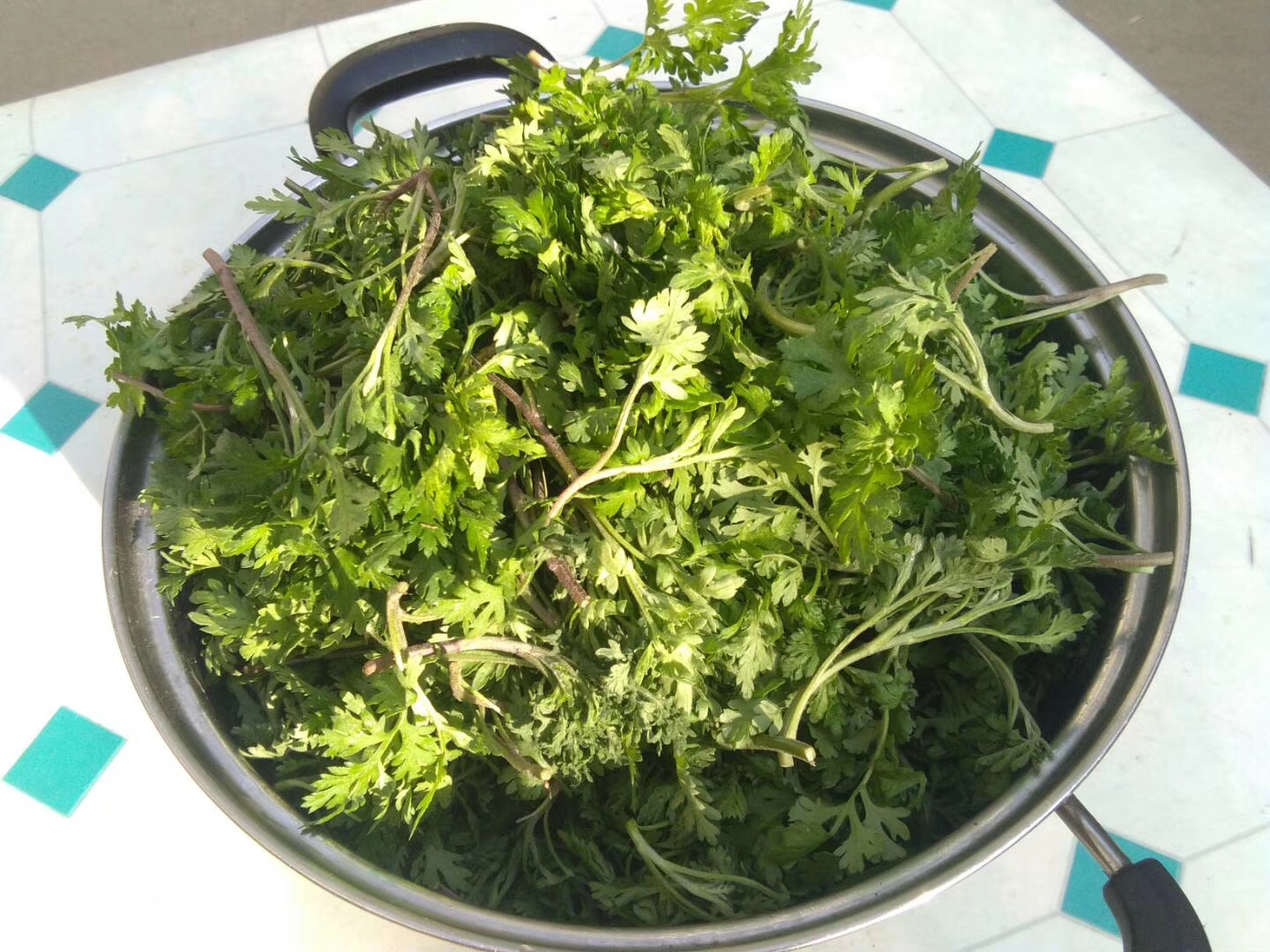 降血压的蔬菜和水果和野菜有哪些,农村这种野菜竟是散结的救命菜