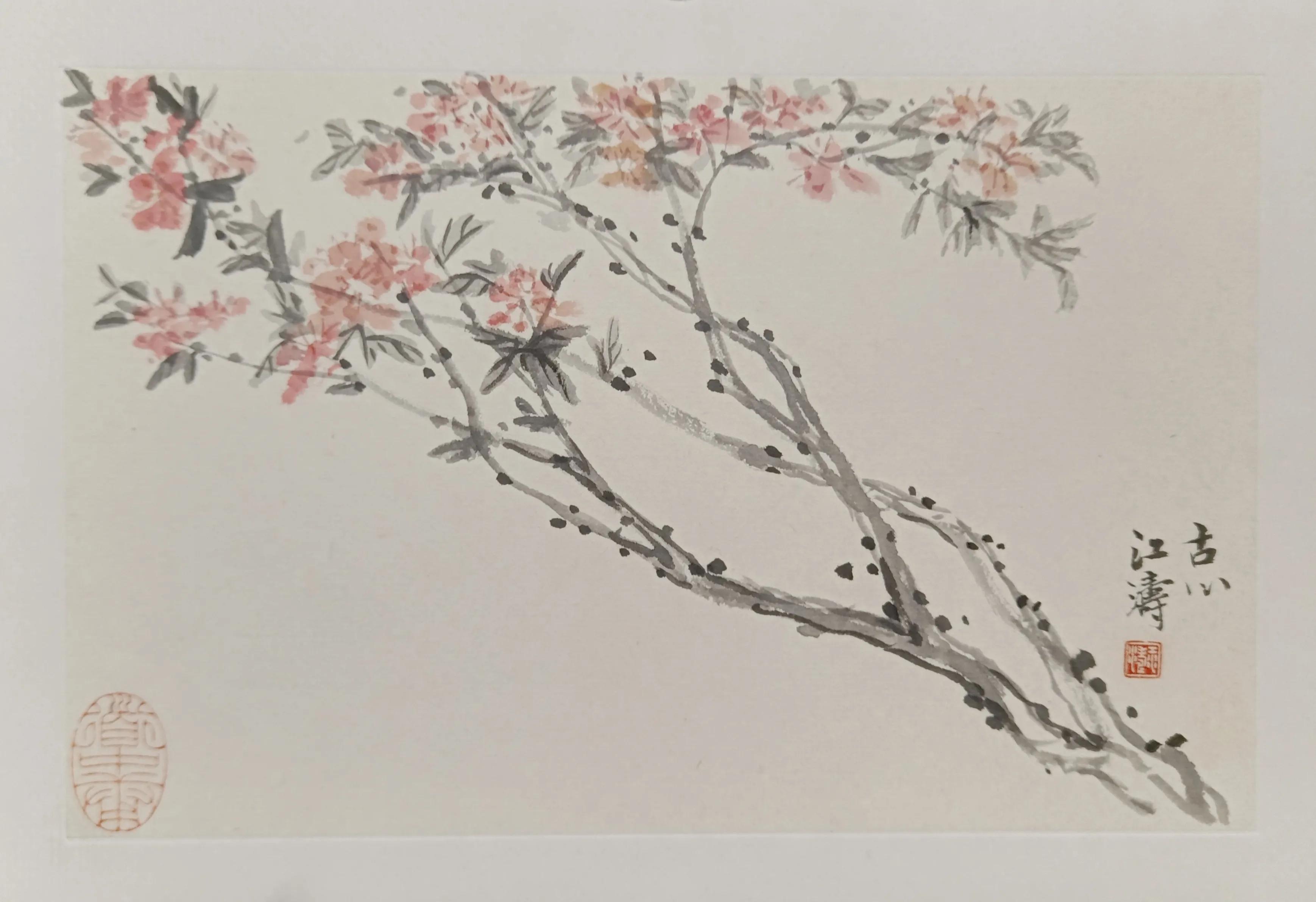 中国书法家江涛,中国墨江介绍视频