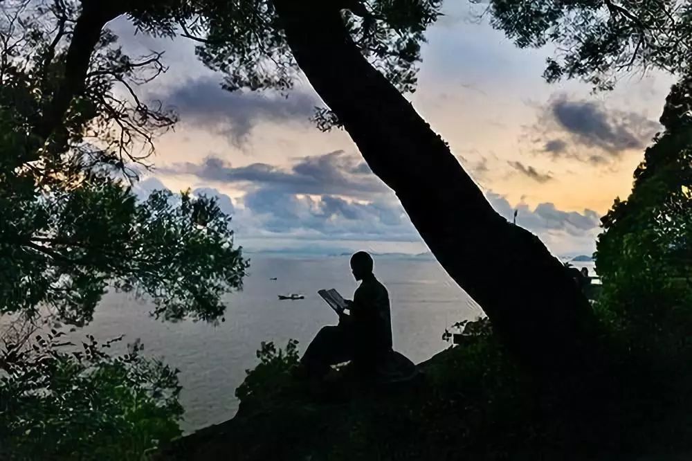 徕卡sl2直播,徕卡sl2-s和徕卡sl2哪个好