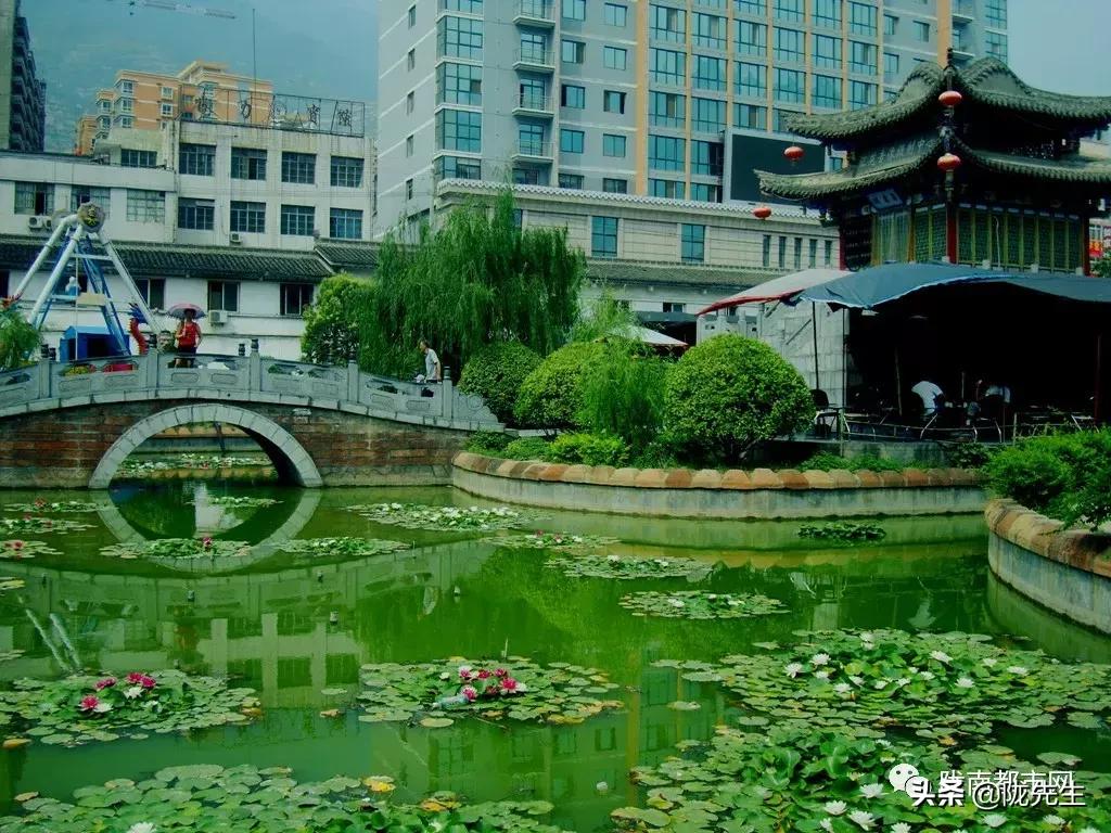 陇南市最大的城市,陇南中心城市