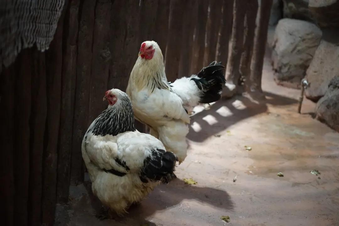 占地30000㎡！这艘建在安华汇天台上的巨船，竟是亲子乐园