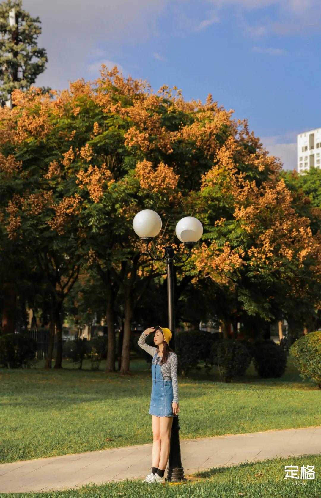 莲花山公园网红打卡地,即墨莲花山公园网红打卡地
