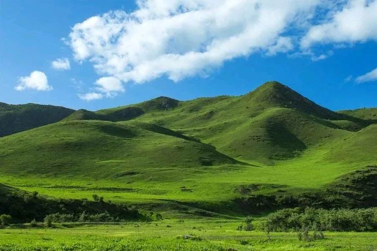 大东山春天的景色,大东山的秋天