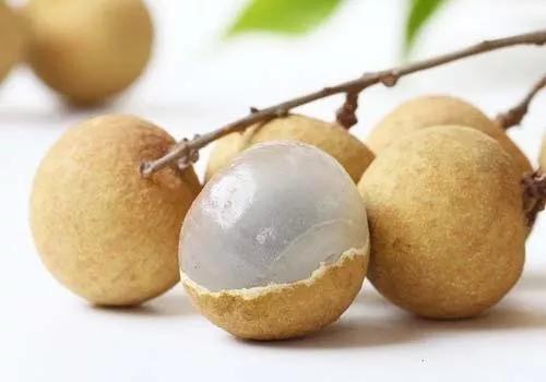 各种常吃水果名和图片,喜欢吃水果了解水果种类