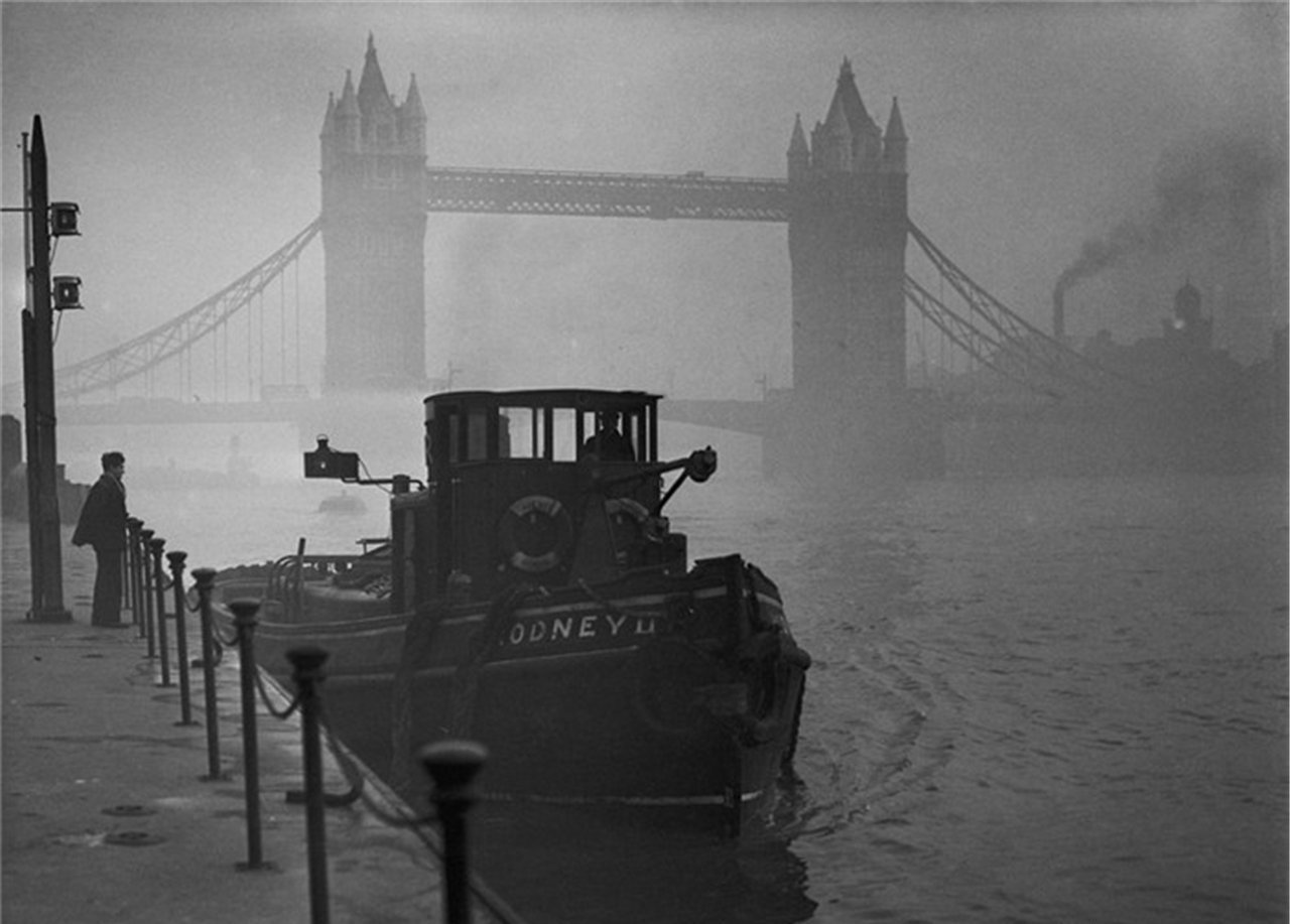 黄金时代英文合唱,黄金时代希腊灰