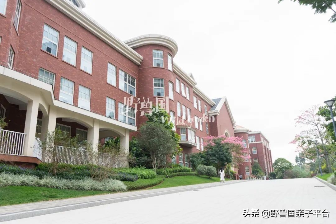 一年20万学费的清澜山学校,都在学些什么?