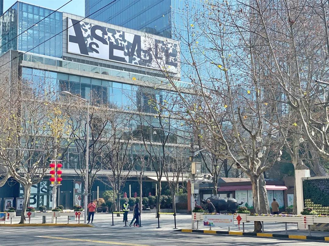 上海2月4日天气,上海2月10日天气