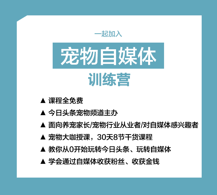 宠物训练营培训,宠物训练营报名