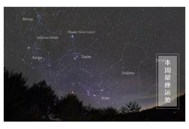 娘娘驾到免费观看,娘娘驾到主题活动