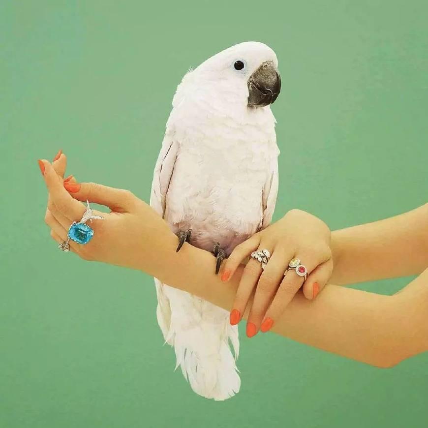 令人窒息惊艳的超模,19岁泰国新西兰混血超模