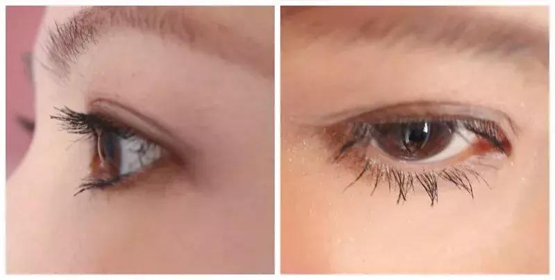 资生堂红石榴系列怎么样,女王节ysl恒久粉底液活动