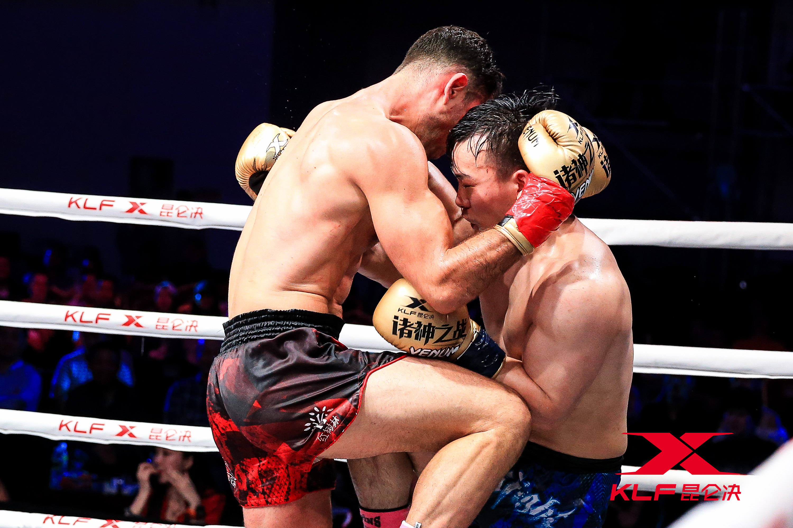 昆仑决汪柯菡出场,昆仑决汪柯菡输给了谁