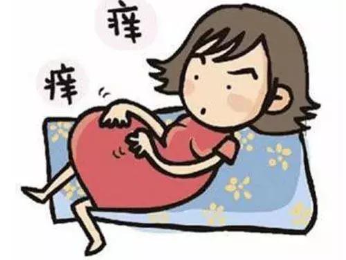 孕期皮肤瘙痒是什么原因,孕期抵抗力下降会引起皮肤瘙痒