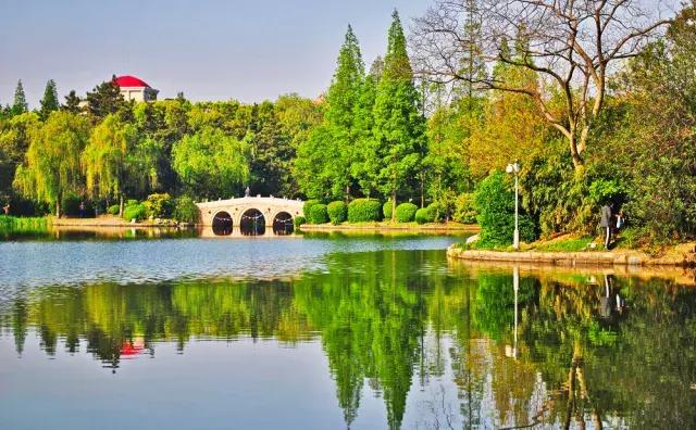 大局已定创业路何去何从,杨浦区的发展趋势