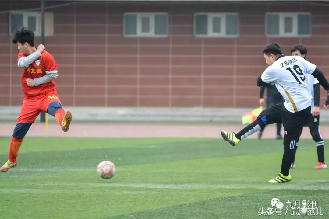 草根也疯狂1985,草根也疯狂全集