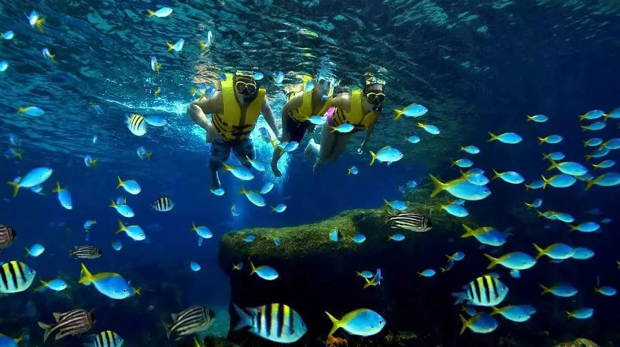 越南芽庄旅行感悟,越南芽庄旅行的感觉