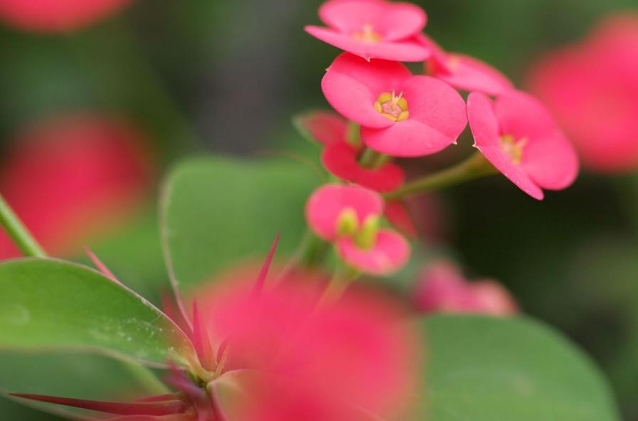 日子的滋味美文,小日子过得不错的美文