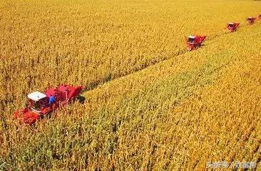 抓住机遇发家致富的方法,抓住富人的十条致富法则