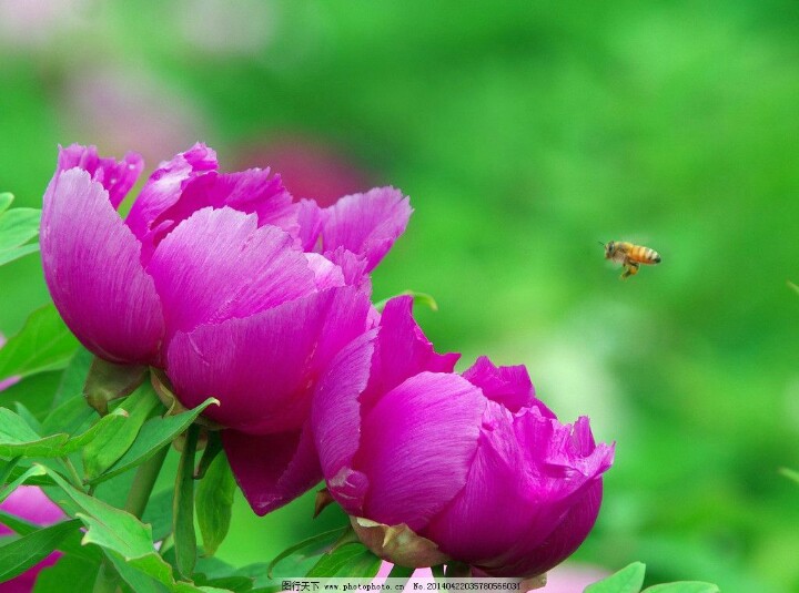 今天29，打开就能幸福久久！幸福相册！请收下给你的祝福哦