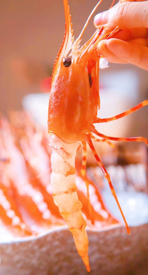 网红打卡日料店,杭州明星打卡网红日料店