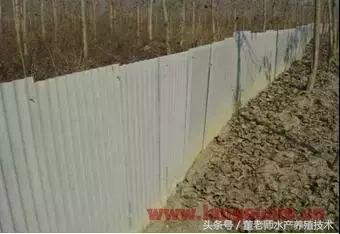 淡水小龙虾池塘如何建设,精养小龙虾早期池塘维护