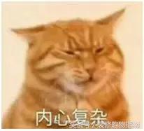 这年头没个三头六臂,都无法维持塑料关系