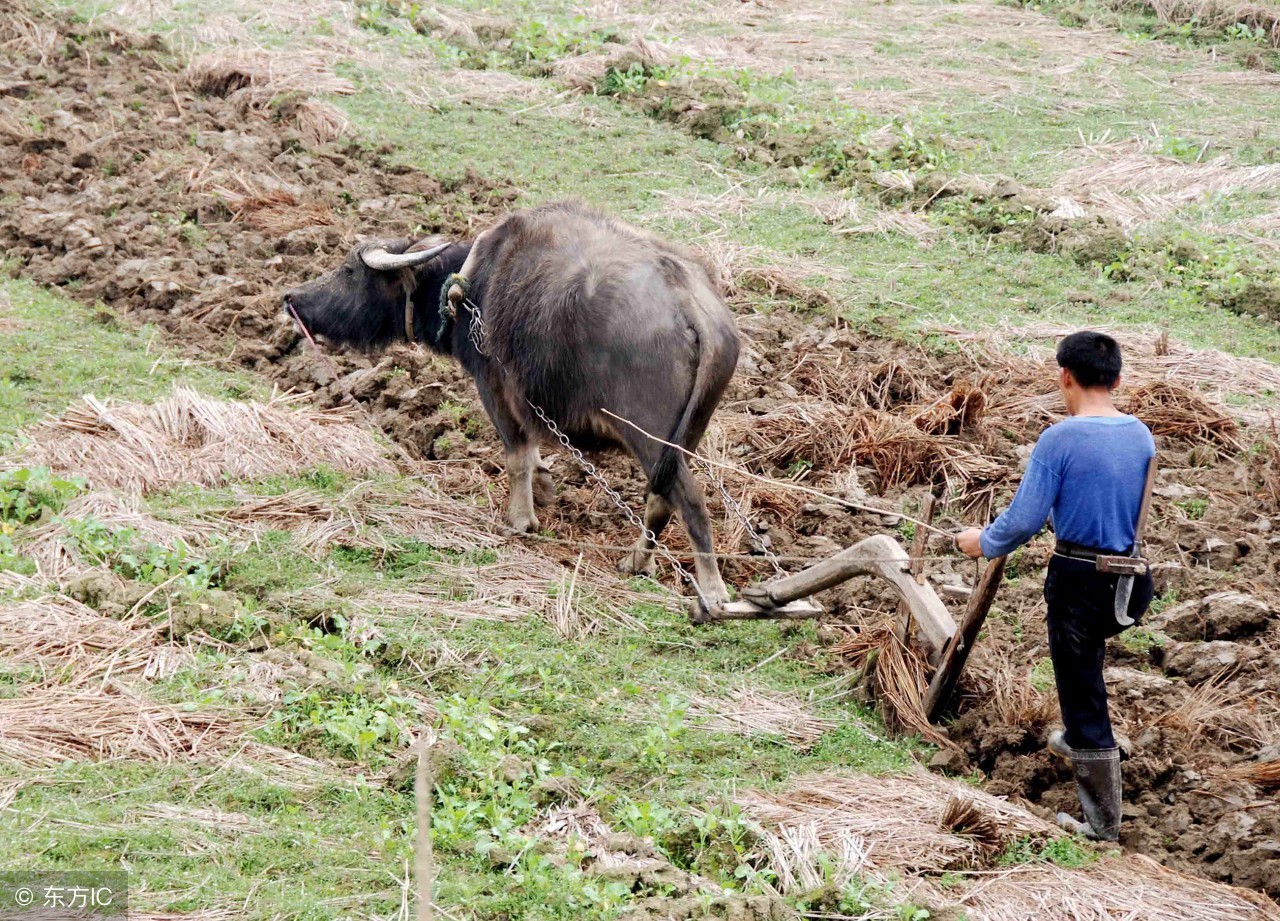 一人赚钱全村馋的意思,一人致富全村拦的意思