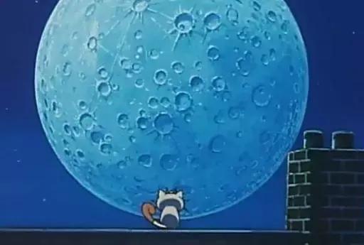 感觉自己养了一只猫是假猫 (你会觉得自己养了一只假猫吗)