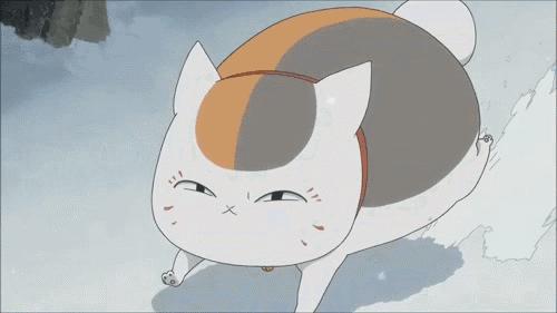 感觉自己养了一只猫是假猫 (你会觉得自己养了一只假猫吗)