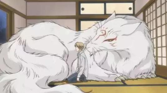 感觉自己养了一只猫是假猫 (你会觉得自己养了一只假猫吗)