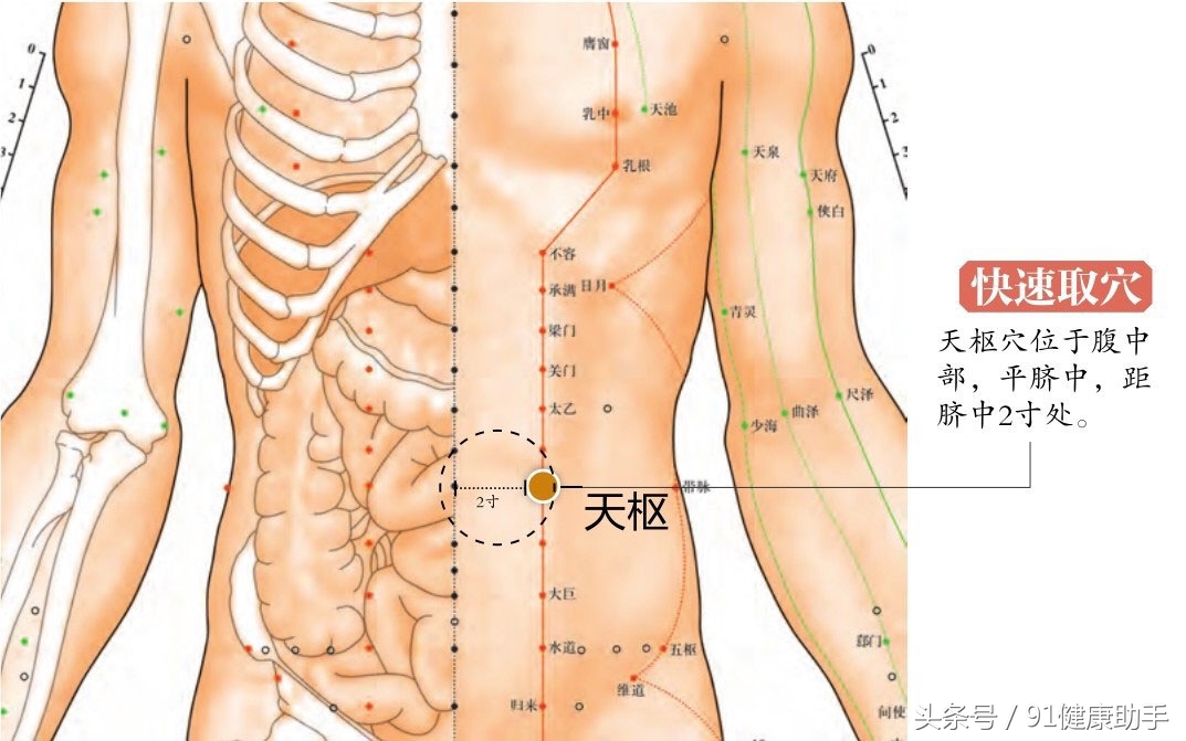 大肠经哪个穴位治阑尾炎,阑尾炎吃调理肠胃中药管用吗