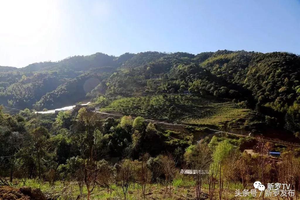 因开采煤矿而被淹没的村庄,因为开采矿洞塌陷的村庄