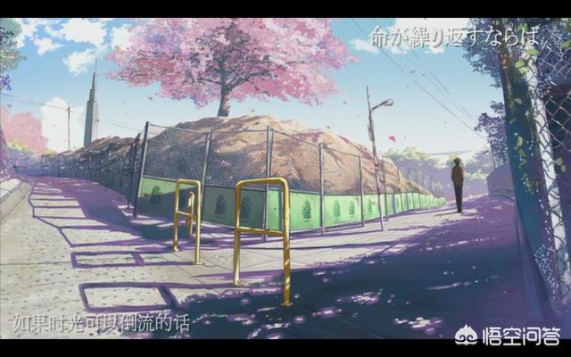 不吹不黑的电影,不吹不黑真实评价