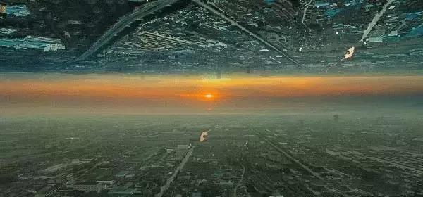 法国埃菲尔铁塔能当葡萄架子吗？|晓玲说酒264期